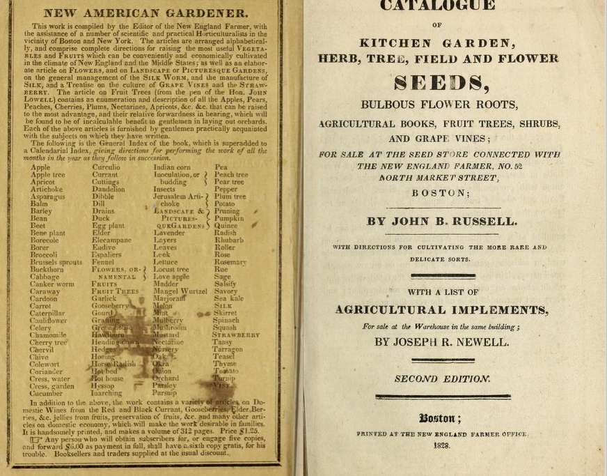 View Full Size Image