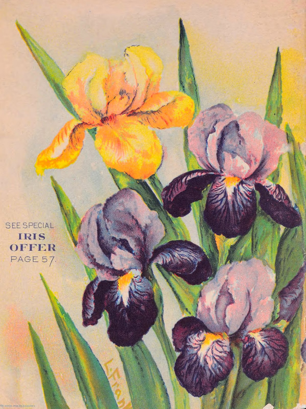 View Full Size Image