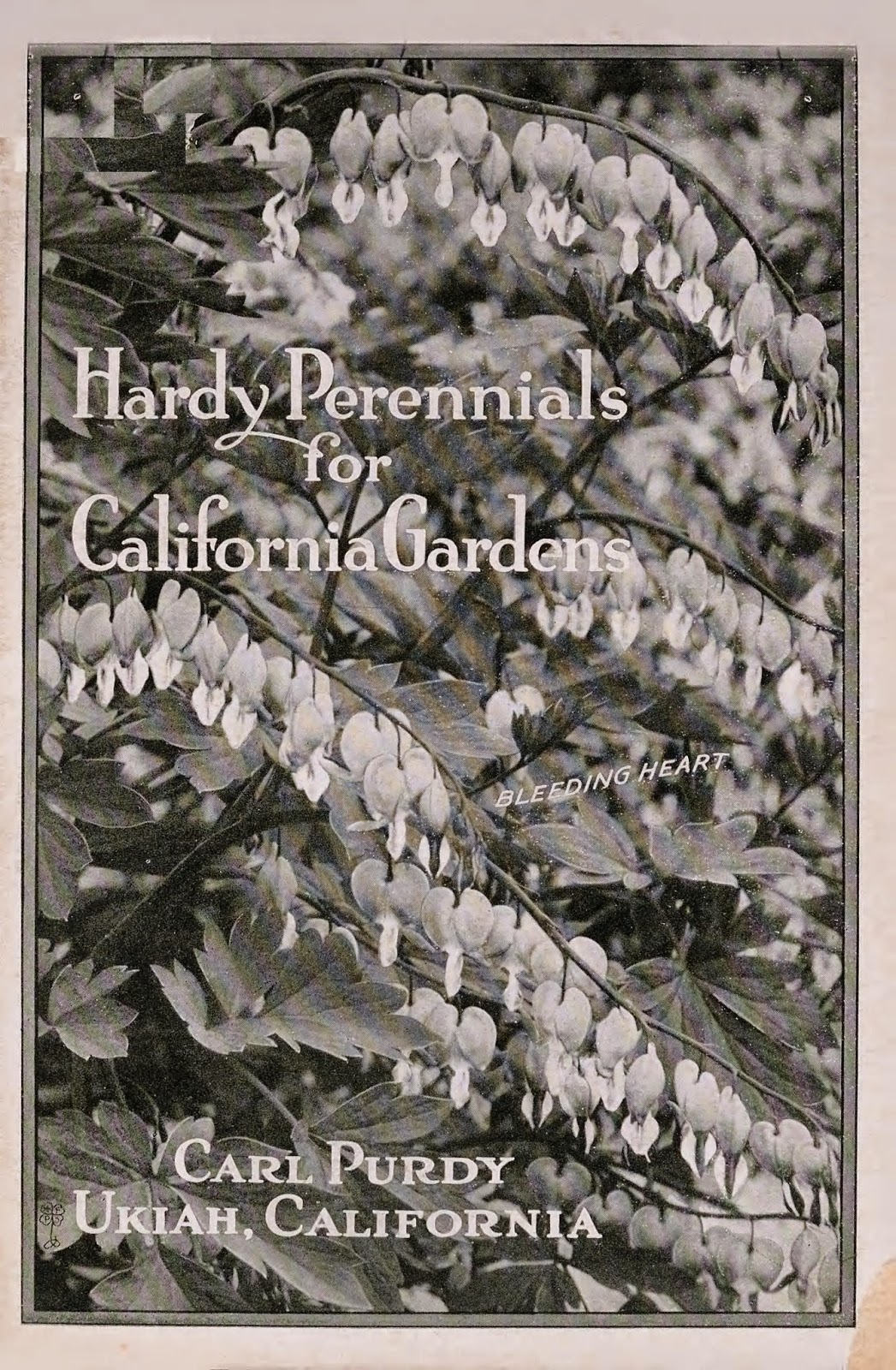 View Full Size Image