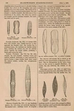 View Full Size Image