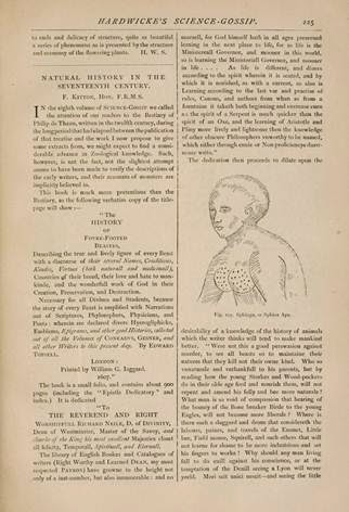 View Full Size Image