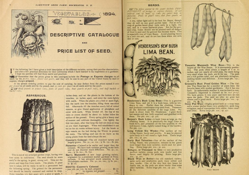 View Full Size Image