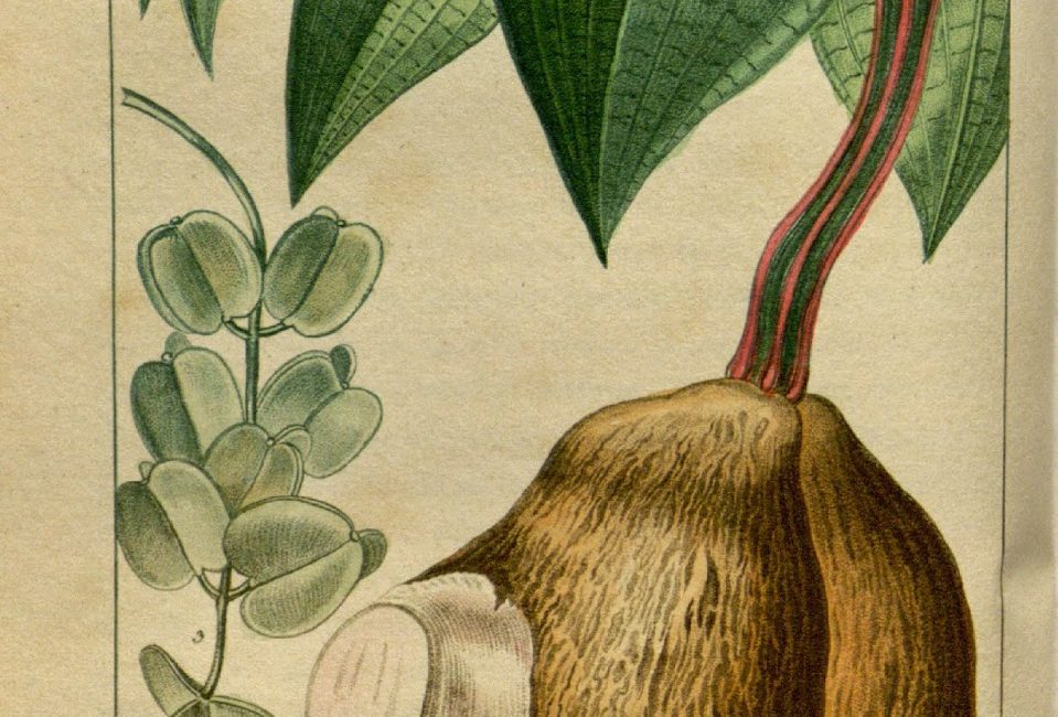 Read the full blog post