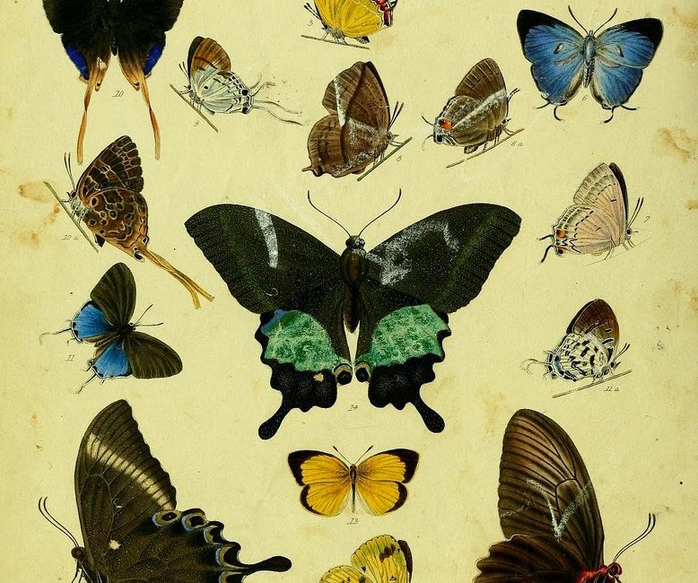 Read the full blog post