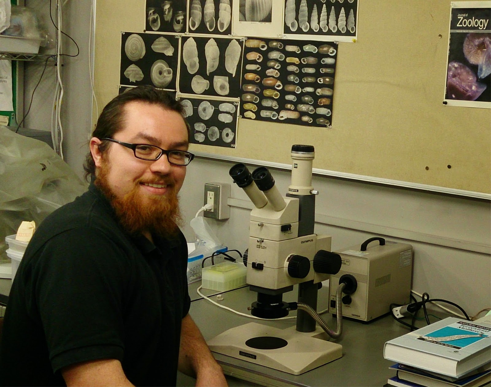 View Full Size Image