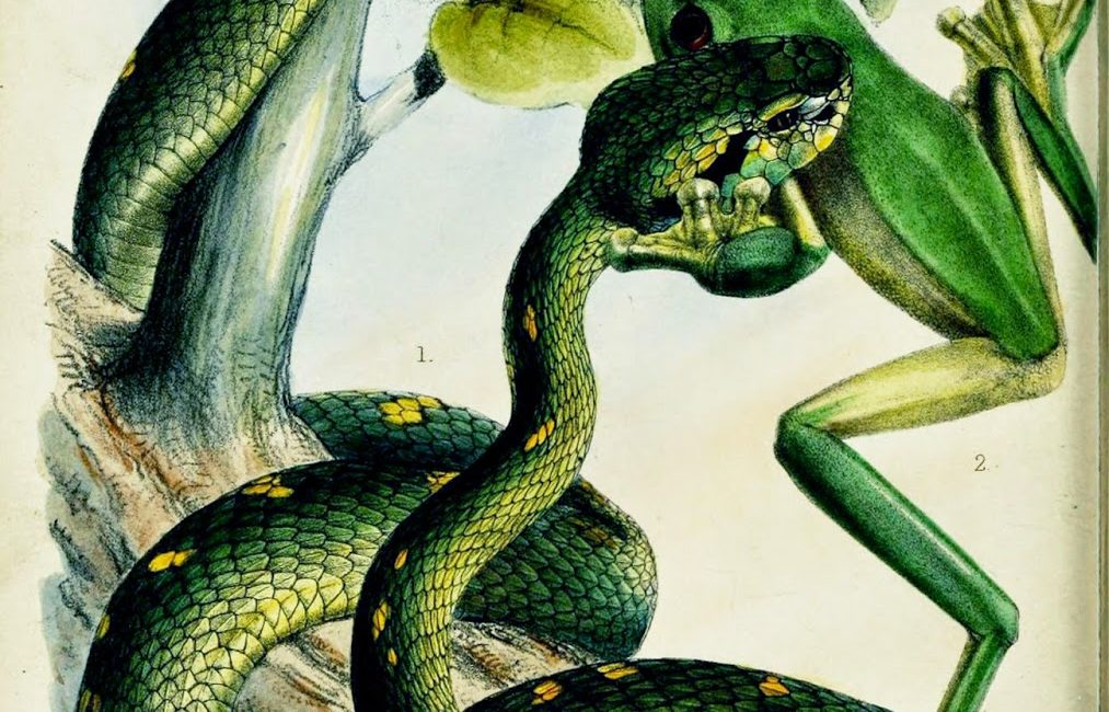 Read the full blog post