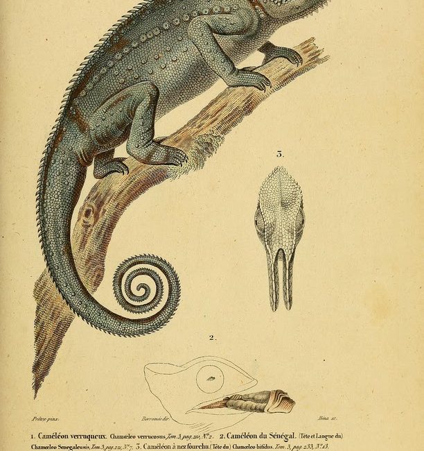 Read the full blog post