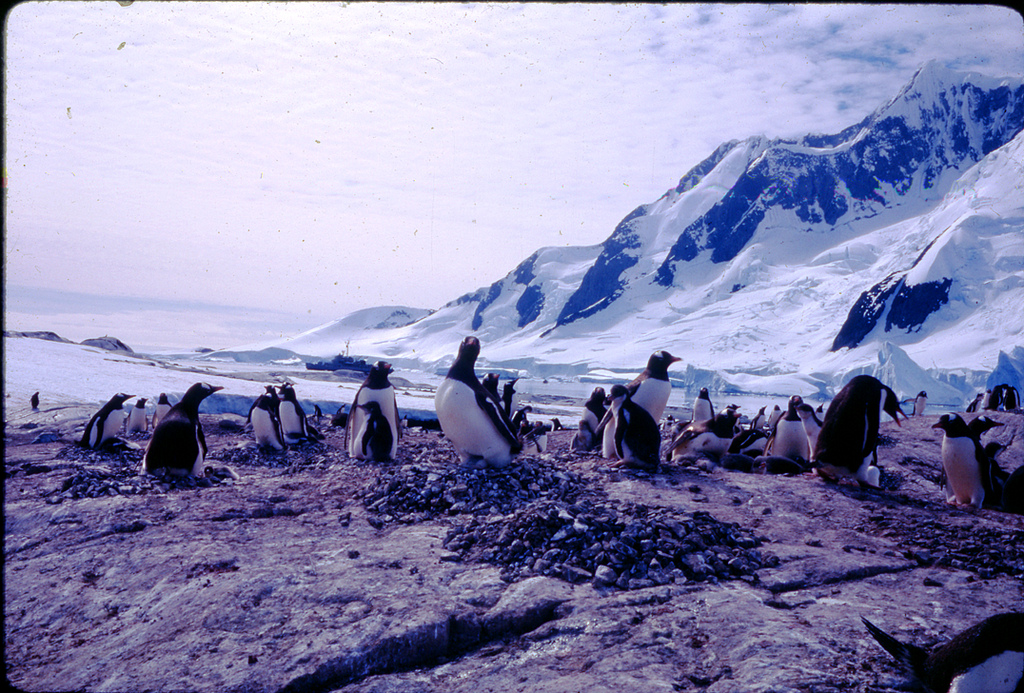 View Full Size Image