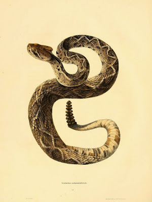 View Full Size Image