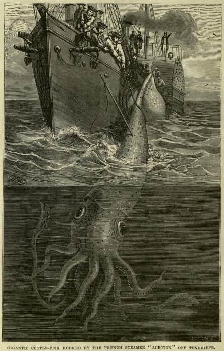 View Full Size Image