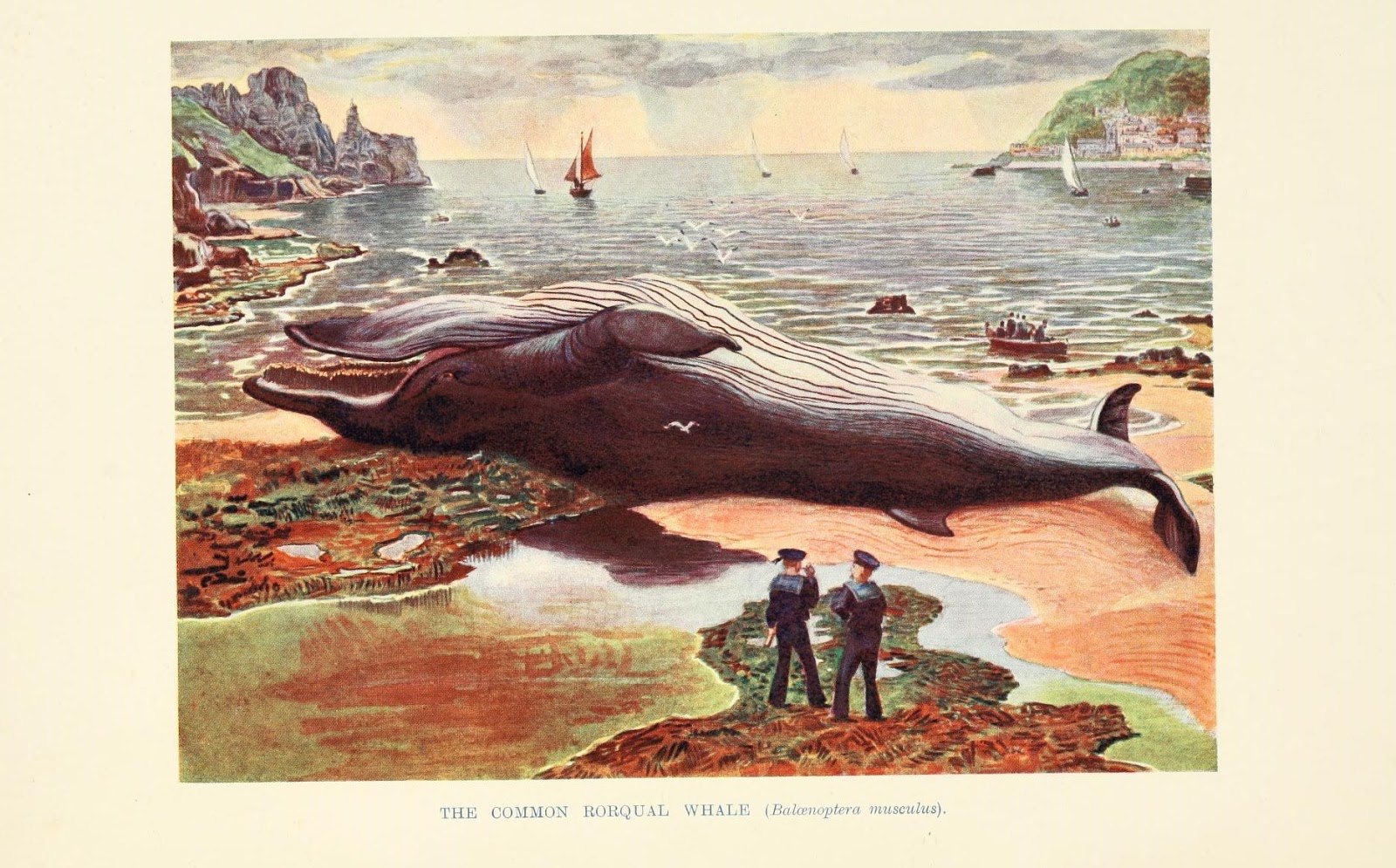 View Full Size Image