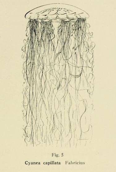 View Full Size Image