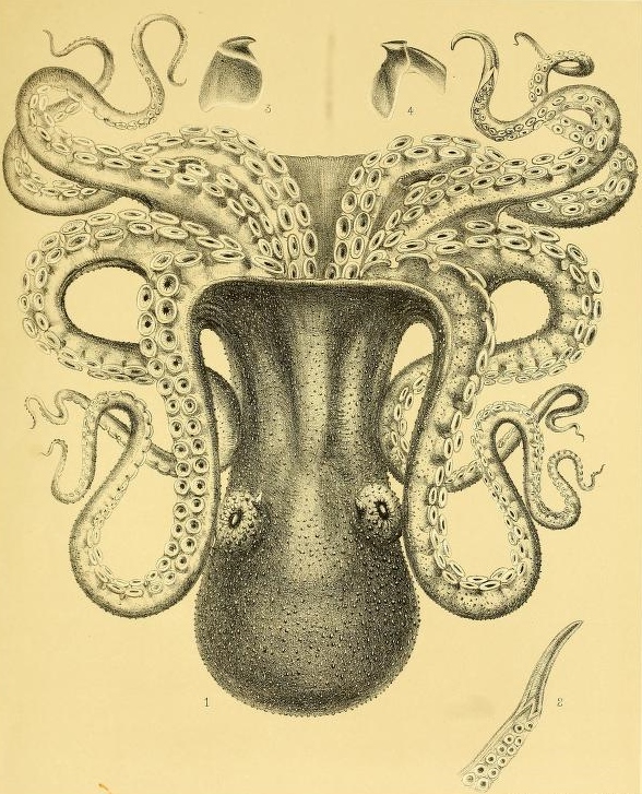 View Full Size Image