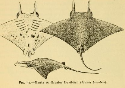 View Full Size Image