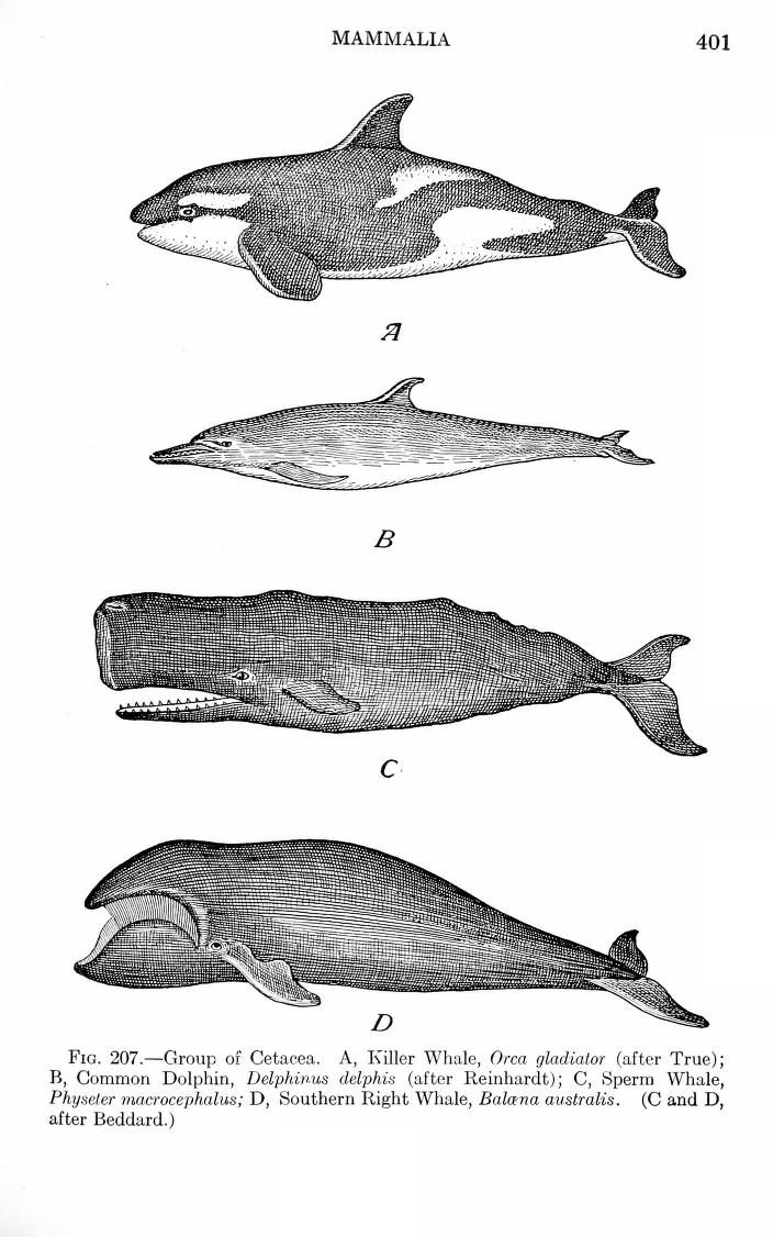 View Full Size Image