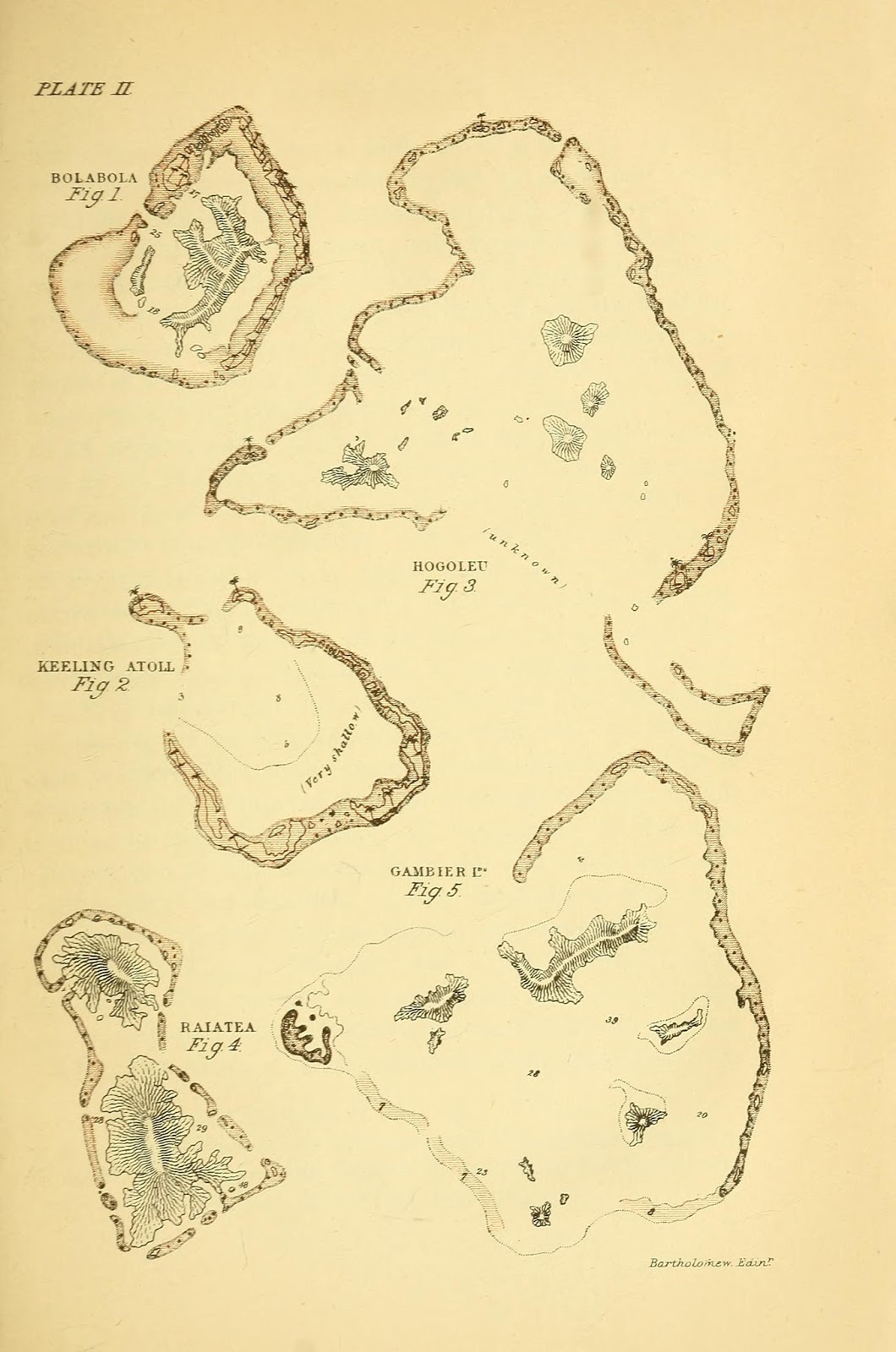 View Full Size Image