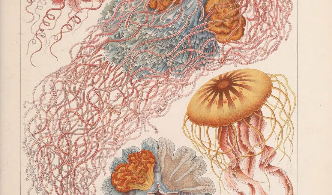 Read the full blog post