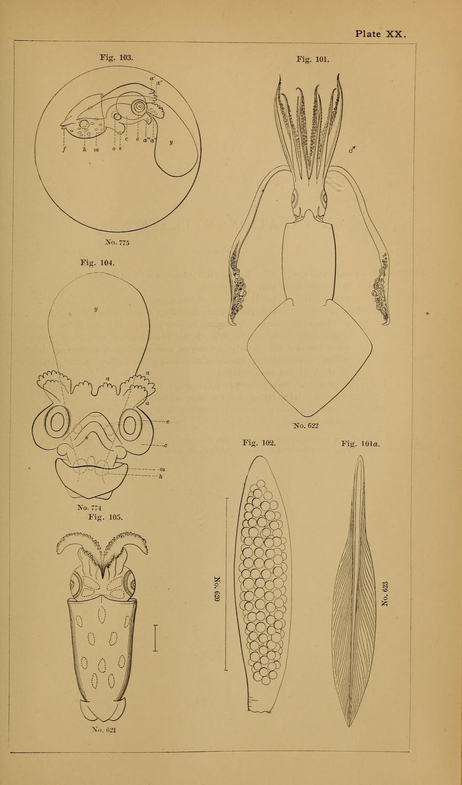 View Full Size Image