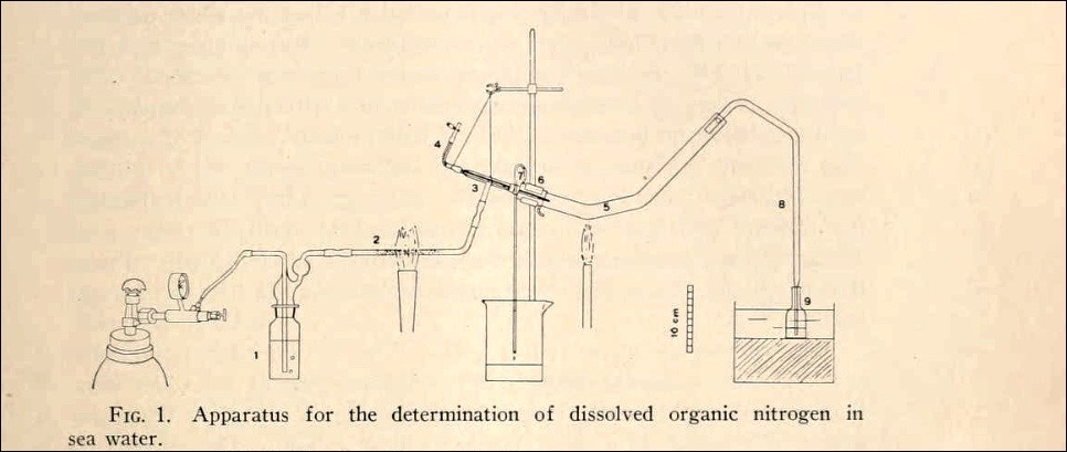 View Full Size Image