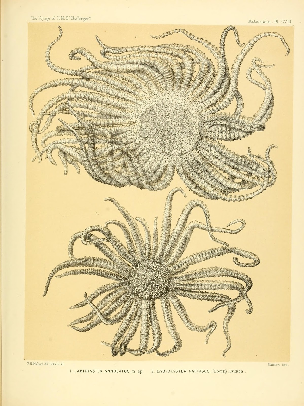 View Full Size Image