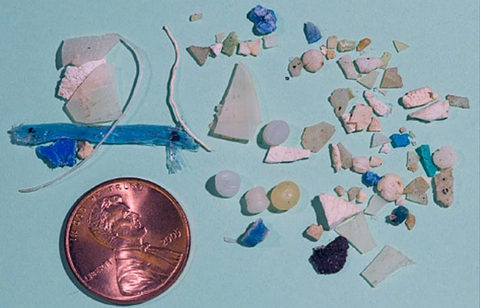 View Full Size Image