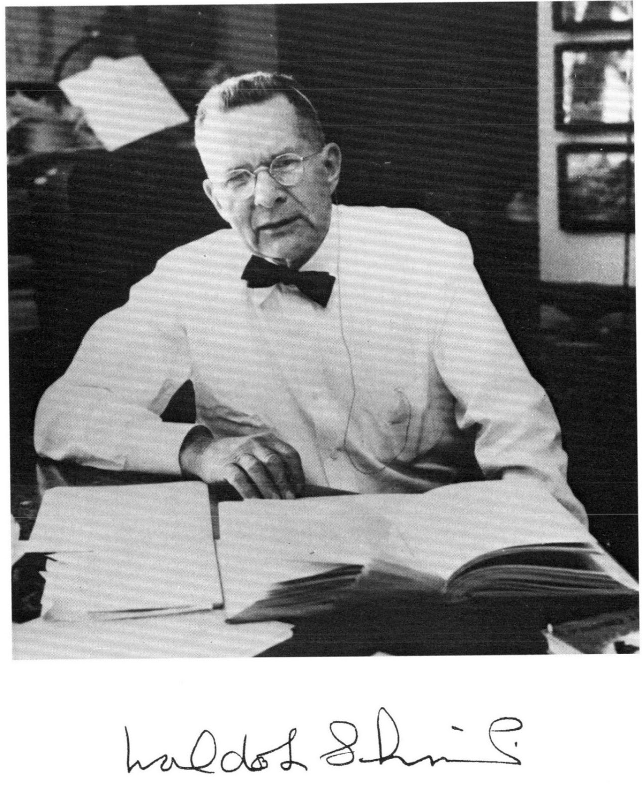 View Full Size Image