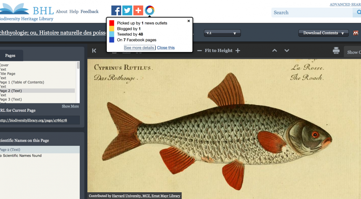 Read the full blog post