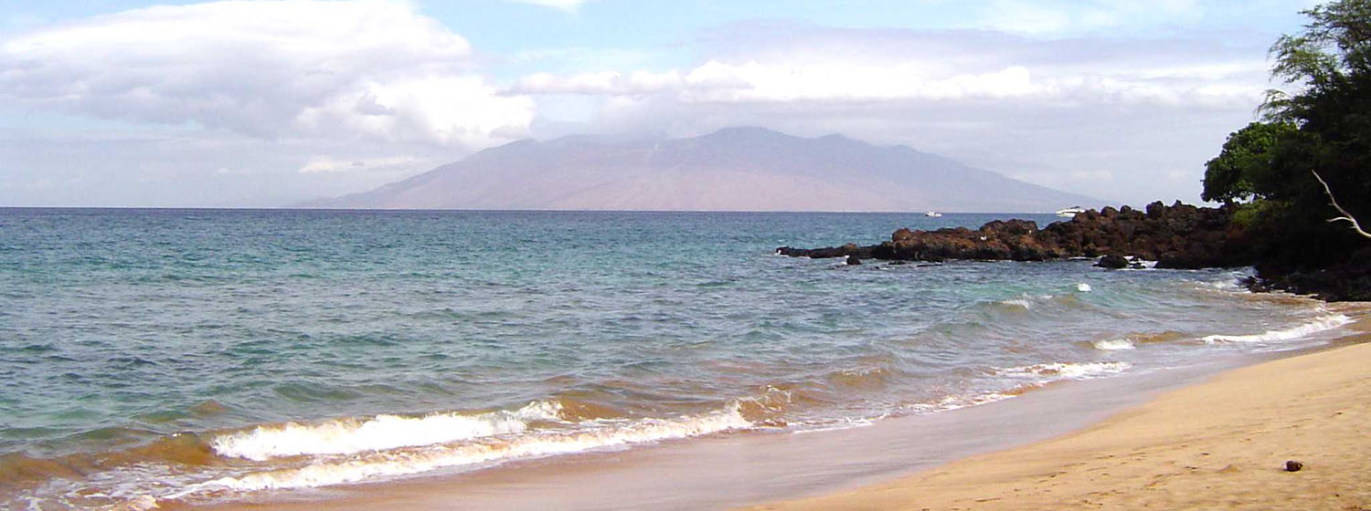 View Full Size Image