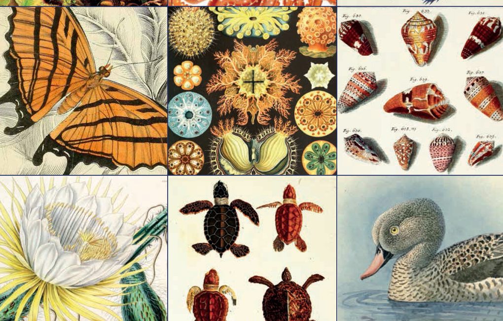 Read the full blog post