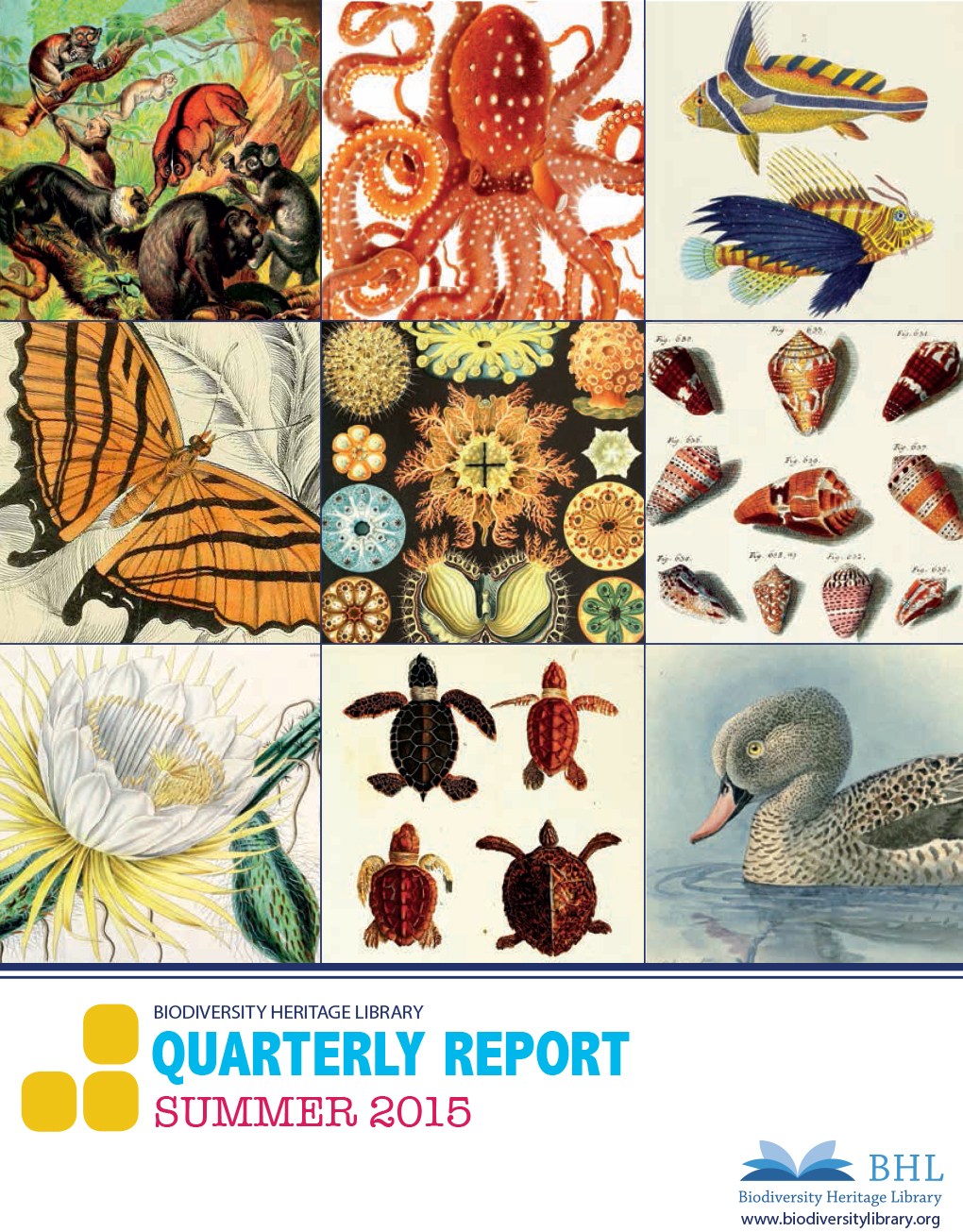 View Full Size Image