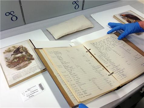 View Full Size Image