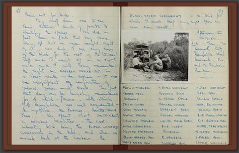 Read the full blog post