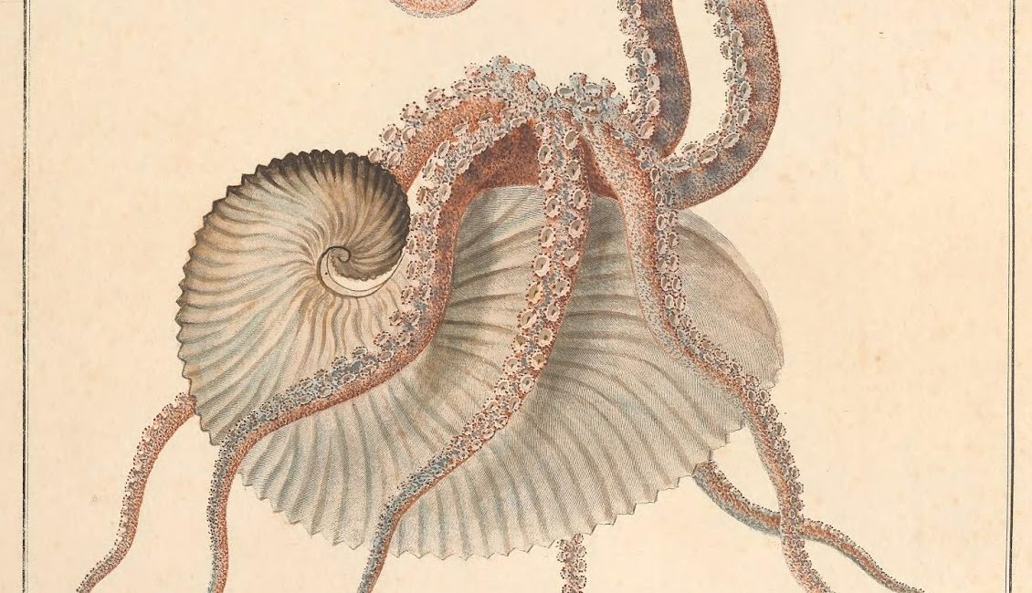 Read the full blog post