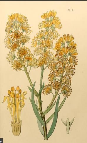 View Full Size Image