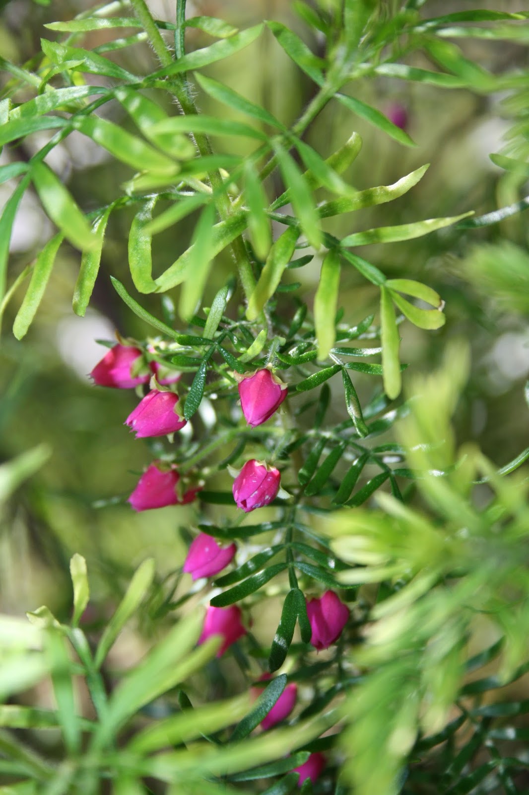 View Full Size Image