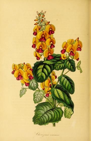 View Full Size Image