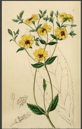 View Full Size Image