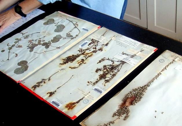 View Full Size Image