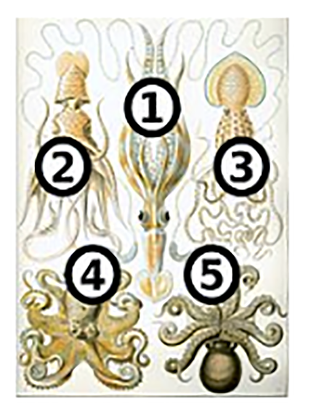 View Full Size Image