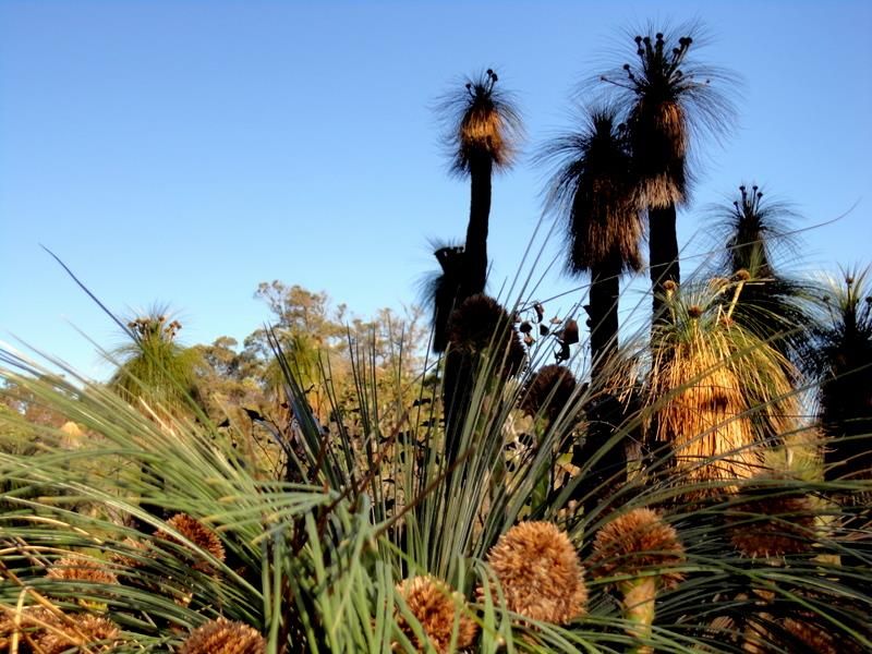 View Full Size Image