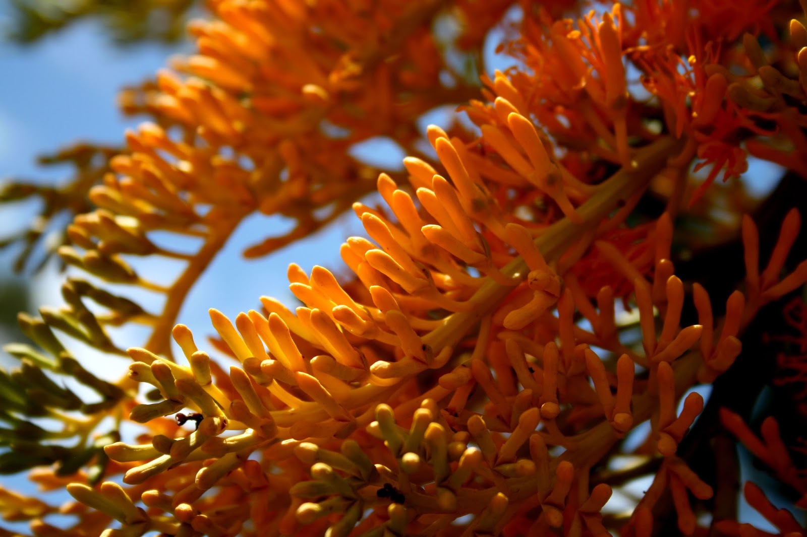 View Full Size Image