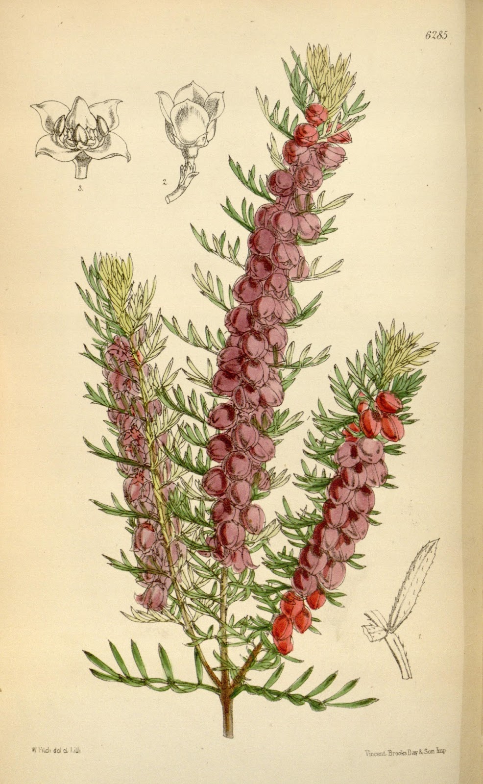 View Full Size Image