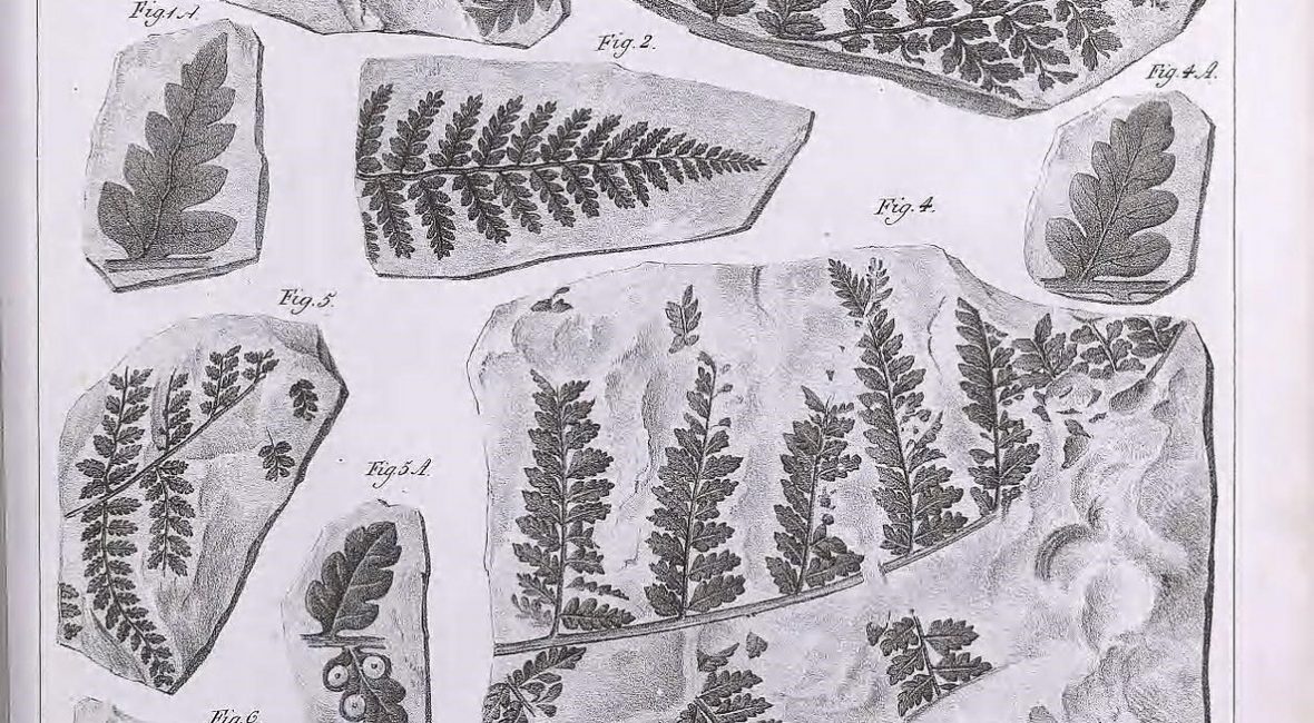 Read the full blog post