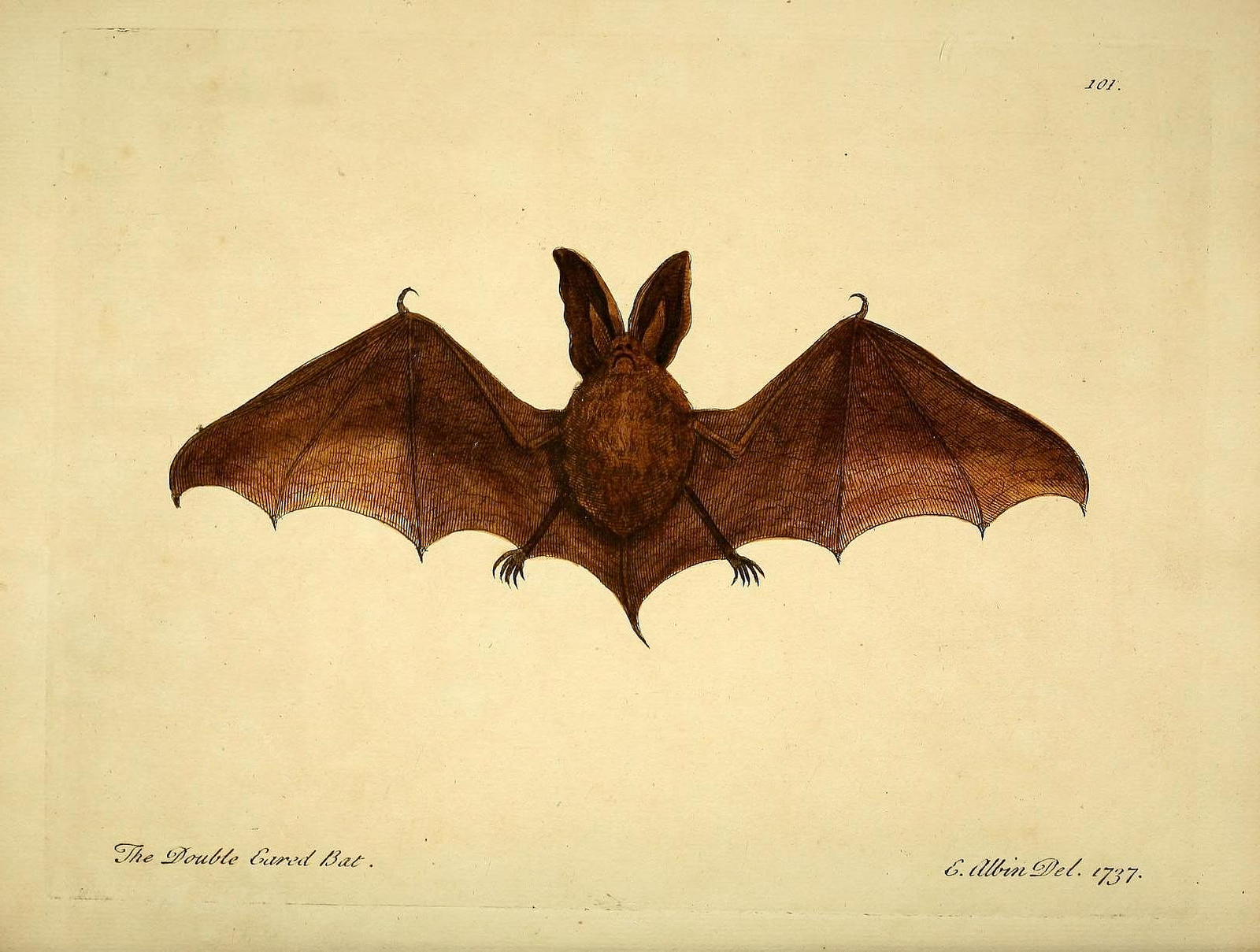 View Full Size Image