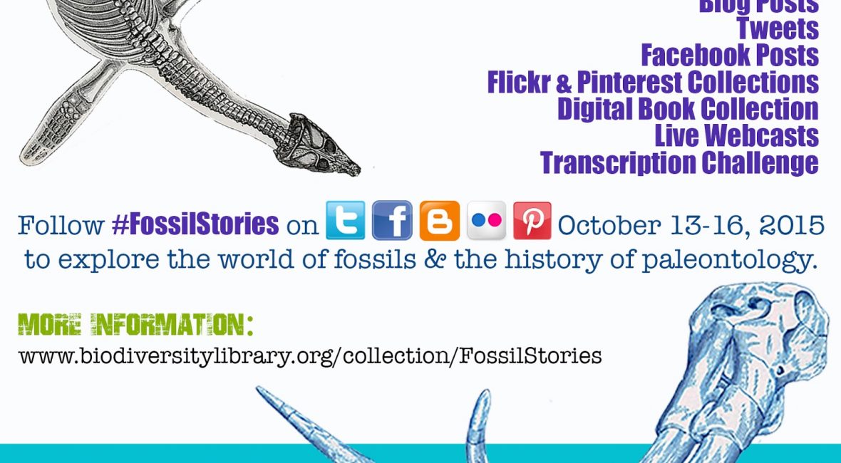 Read the full blog post