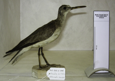 View Full Size Image