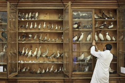 View Full Size Image