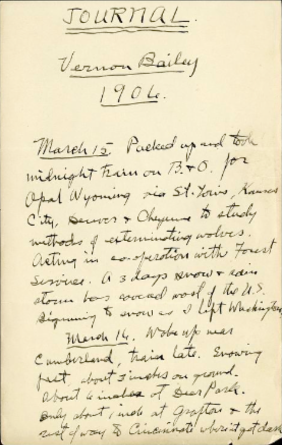 View Full Size Image