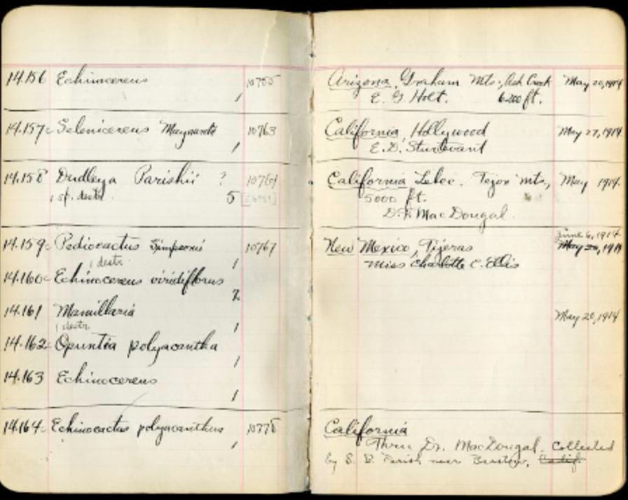 View Full Size Image