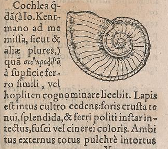 View Full Size Image